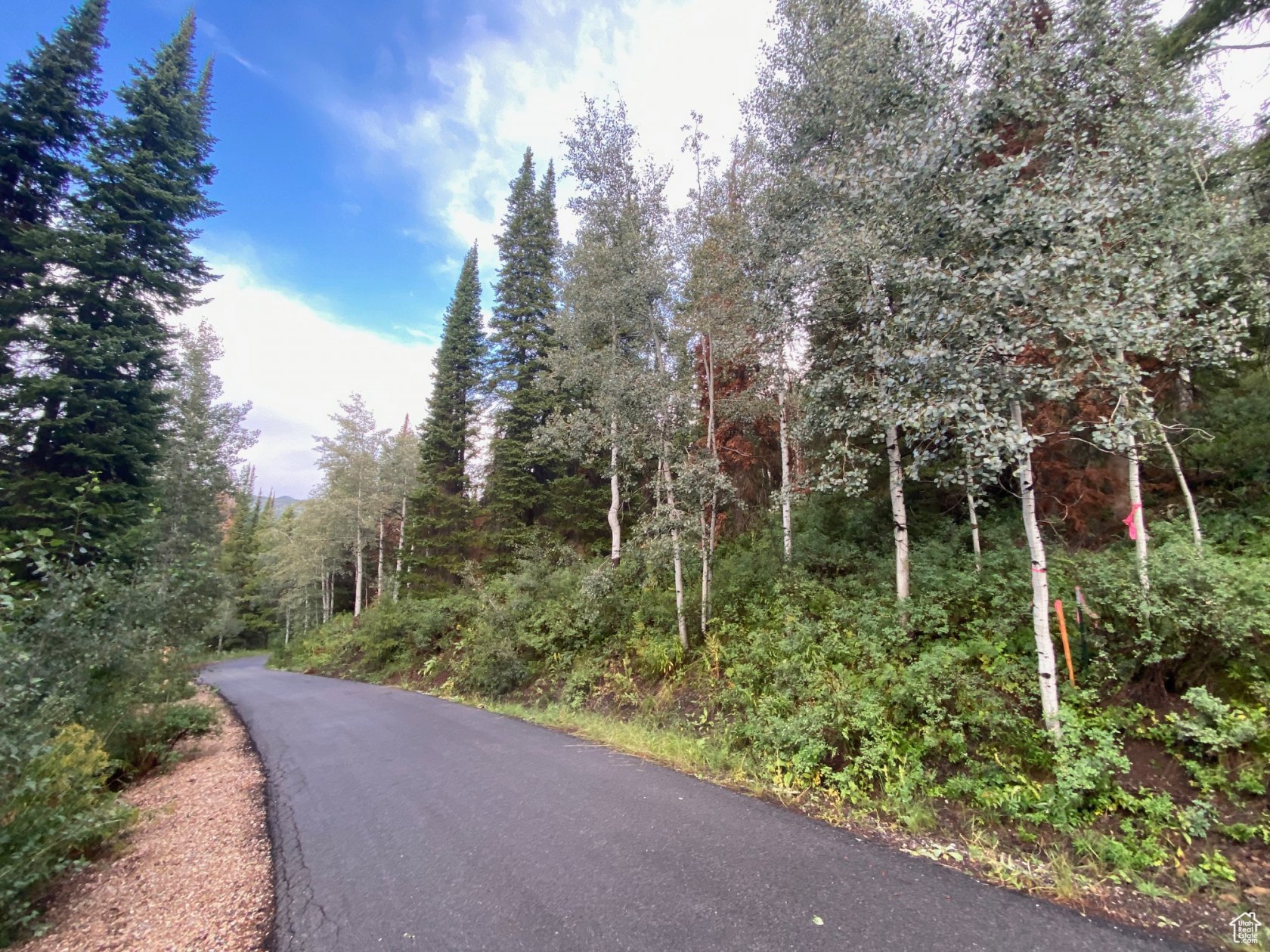551 Red Fir Way