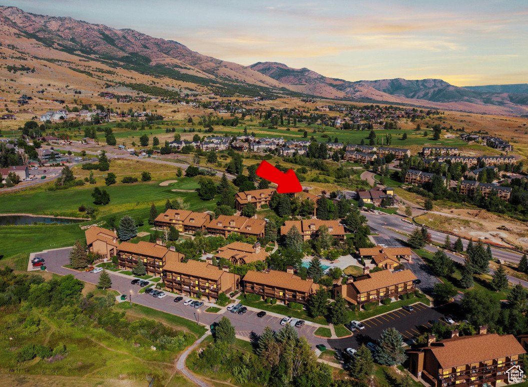 3615 N Wolf Lodge Dr   #1306