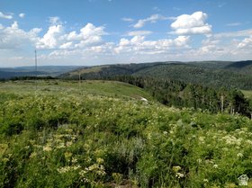 Lot 14 Gooseberry Canyon