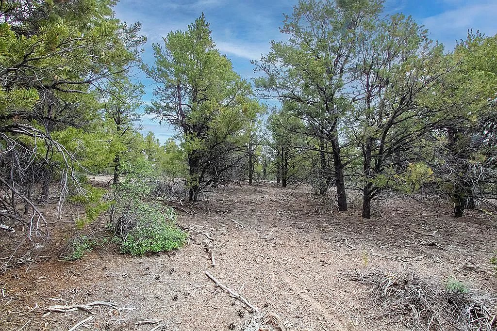 1430 W Mule Deer Rd E