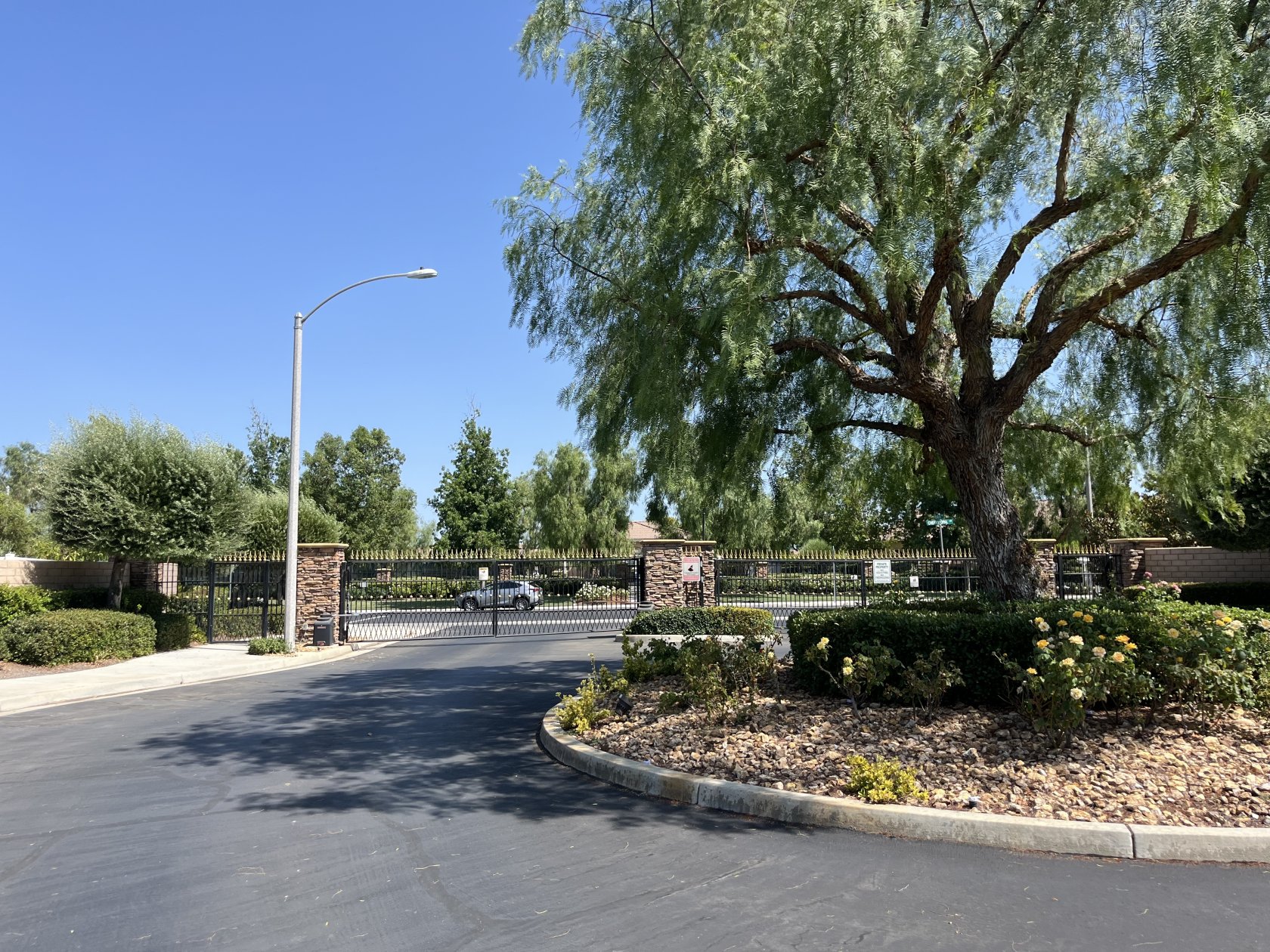 30308 Cherry Opal Lane