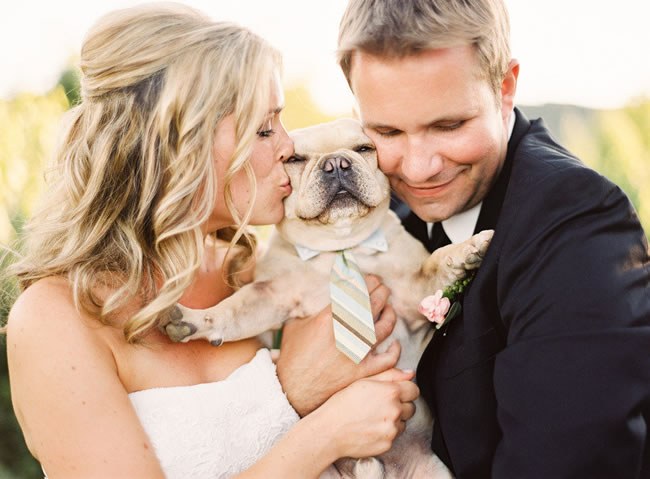Wedding Planning Gratitude List Newlyweds kissing their French bulldog ring bearer