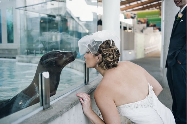 New England Aquarium Wedding A bride face-to-face with a seal at New England Aquarium