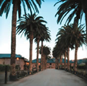 Palm Event Center in the Vineyard