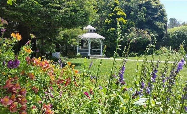 Cambria Pines Lodge Cambria Pines Lodge