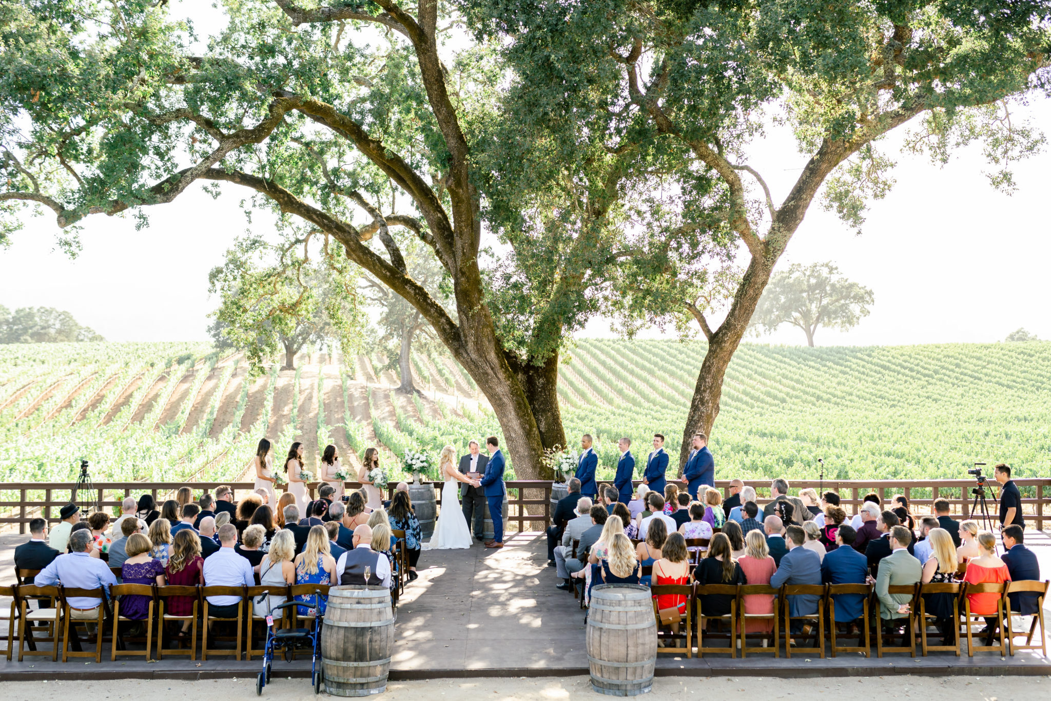 B.R. Cohn Winery Wedding Venues Vineyards Rustic
