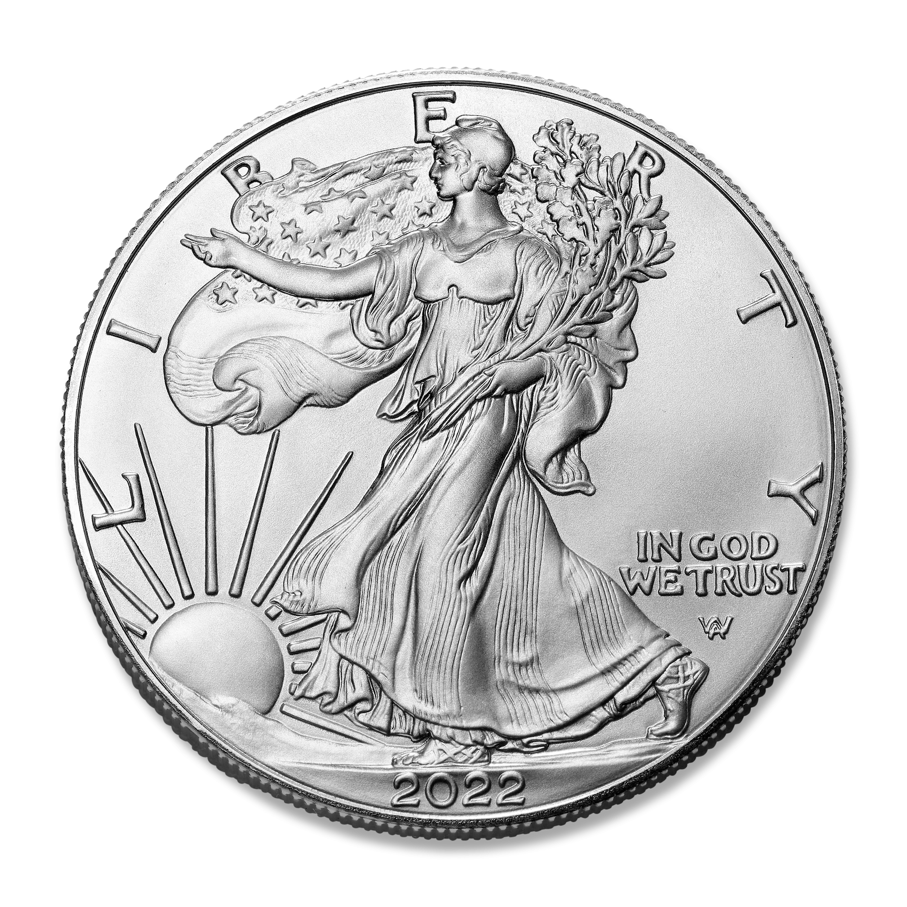 American Eagle Silver Coin