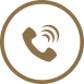 Phone Icon