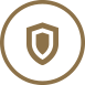 Shield Icon