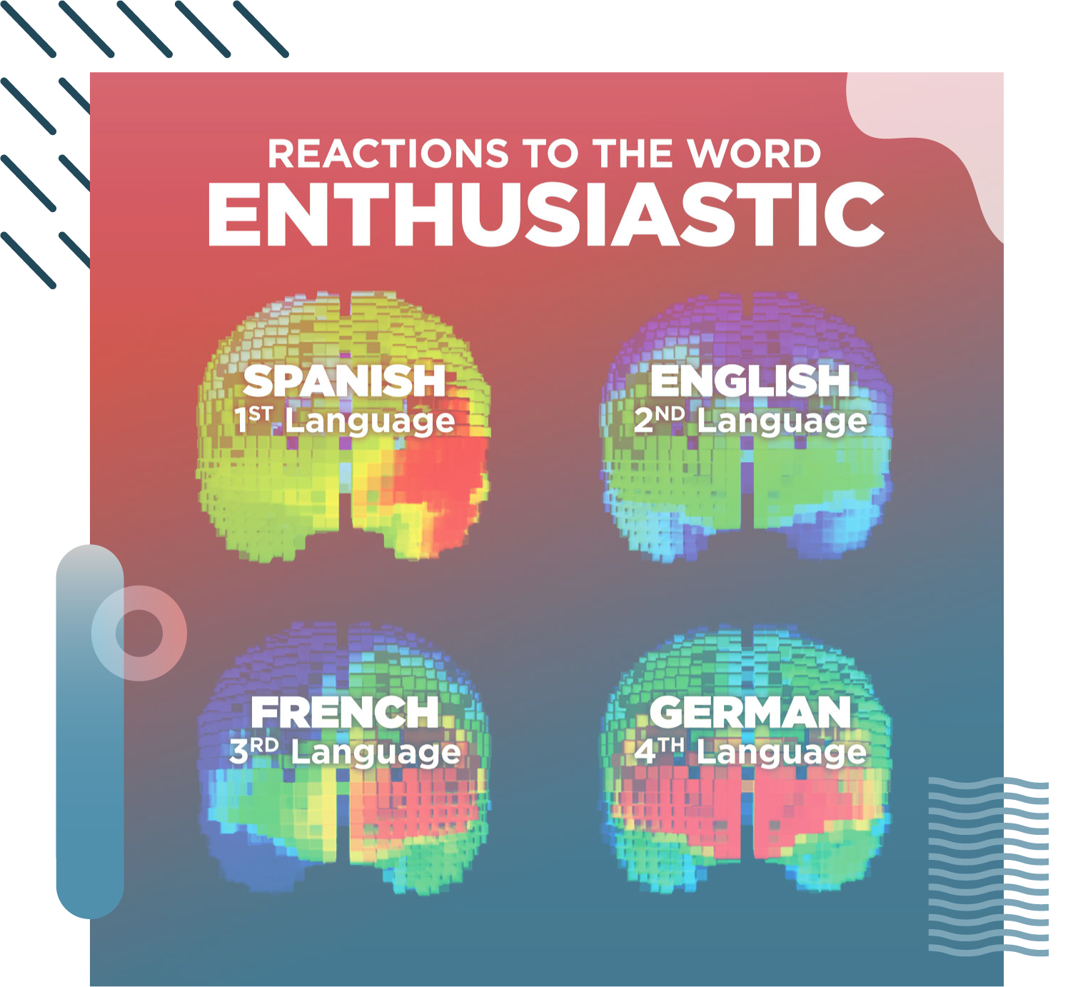NEW_brain_graphic