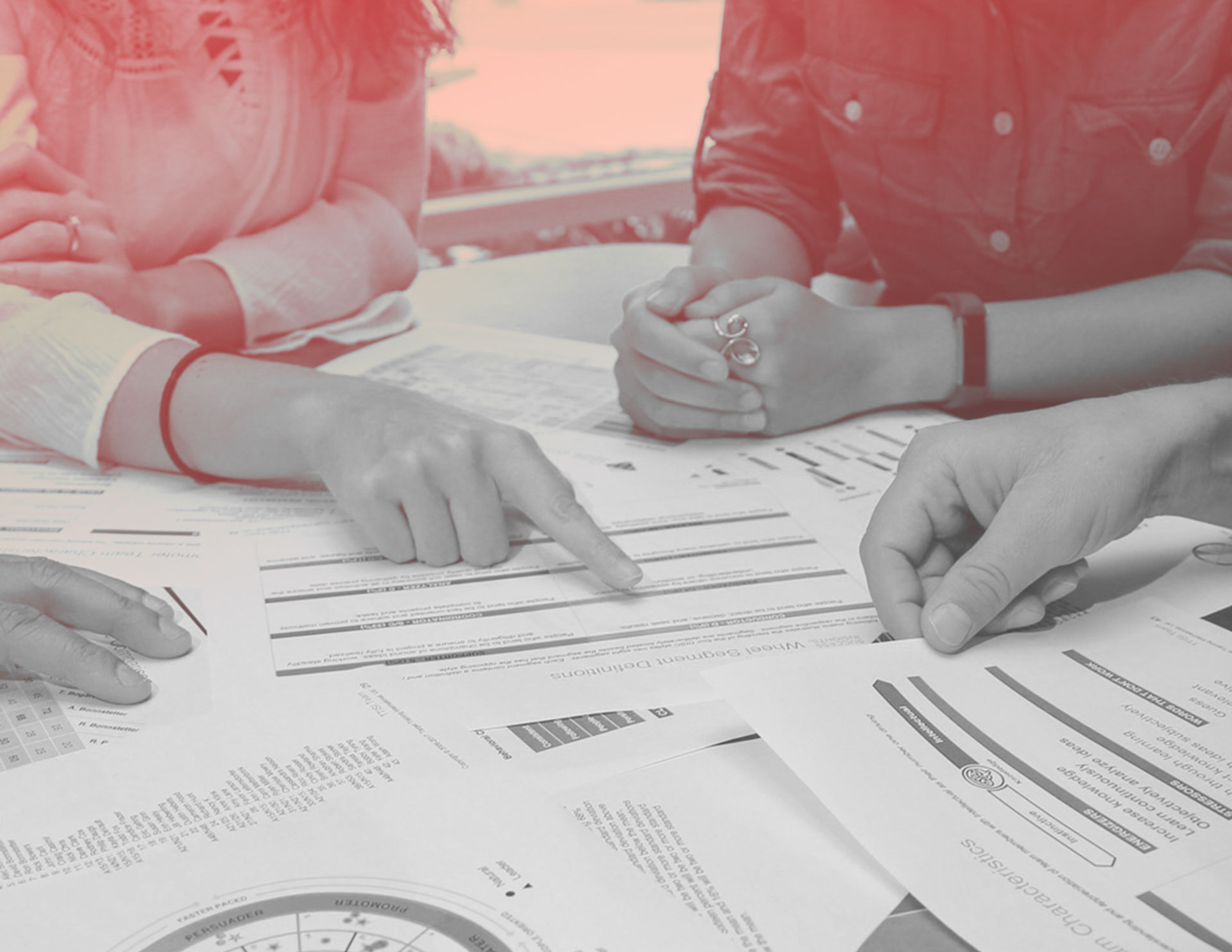 Perception-Acumen DISC assessment