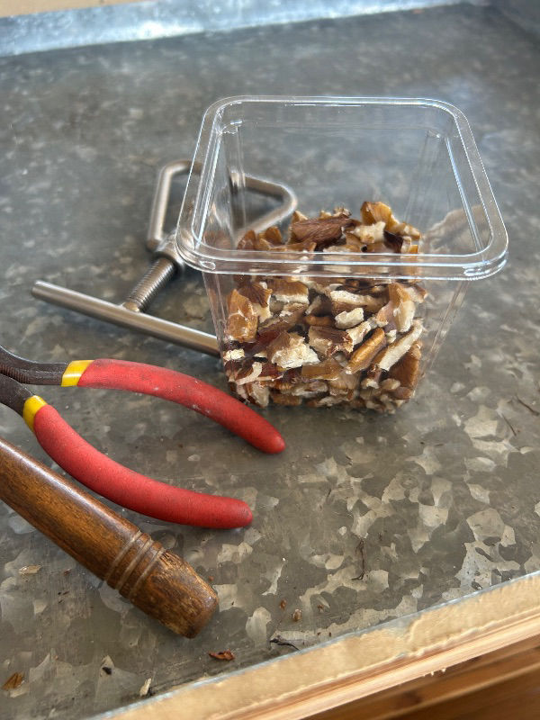 20日（水）クルミの割り方〜実の取り出し方を　教えて？