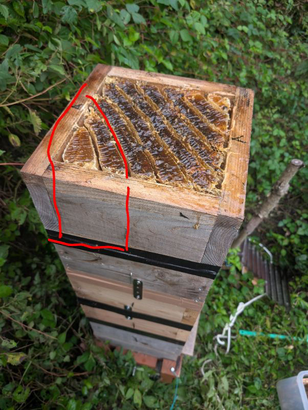 日本ミツバチの巣箱の一部を採蜜する方法について