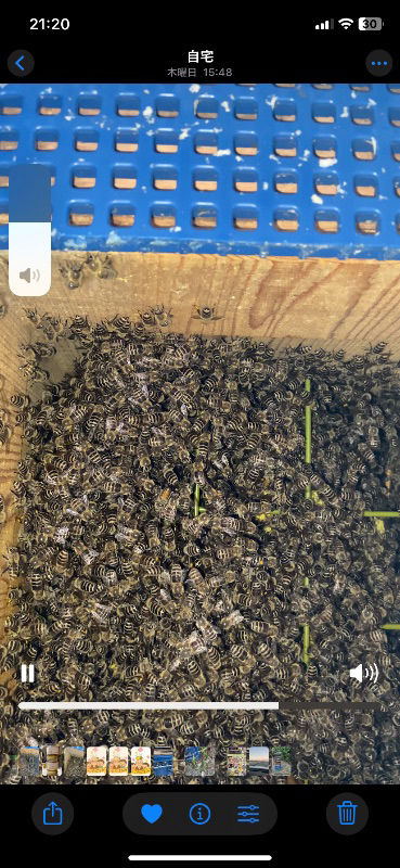 現在4段の巣箱ですが、越冬にはどれだけの段数が必要なんでしょうか？