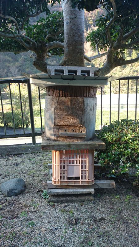 日本みつばち分蜂群捕獲用 丸洞 木製円筒形 日本みつばち分蜂群捕獲用待ち箱 ハイブリッド、重箱なし - メルカリ