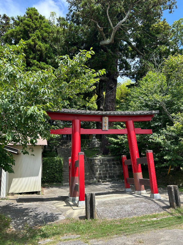 28日（月）アッシーくんの間に　自然巣を覗きに行く？