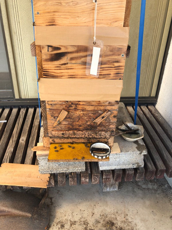 冬場の給餌要領が教えていただきたいです。特に重箱式巣箱の場合の設置場所ですが巣箱付近に適当に置いています