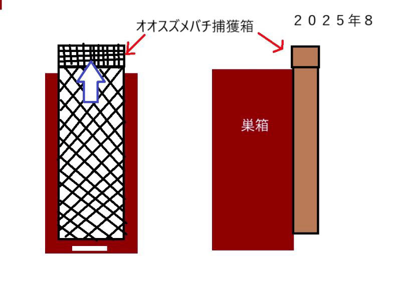 オオスズメバチ捕獲器（巣箱から大きく隔てた所に設置）　想定される欠点を教えてください。