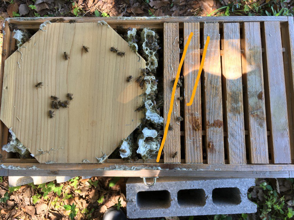 か式＊巣枠式日本ミツバチ巣箱＊