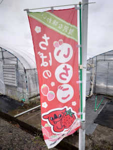 養蜂初心者の疑問、分蜂期間中の本巣は産卵も無くどんどん弱体していくのでは?