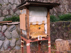 今年になり、日中気温が上昇時の行動、ちび達が心配です(^ ^;