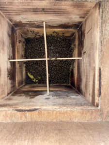 冬越しに関して、教えてください！！！！！