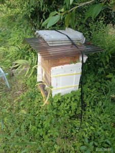 暑さ対策にこの形の発泡スチロールは、有効になりますか？