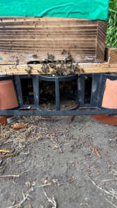 継箱をした日から巣門付近で蜂同士が喧嘩しています。何か対策した方がいいのでしょうか？