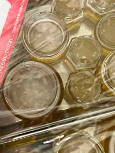 初採蜜・垂れ蜜　発酵＆表面に白いものが浮いています！