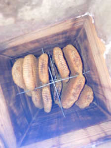 先ほどの質問投稿で、写真挿入できなかったので追加投稿しました。