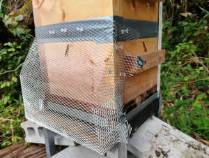 スズメバチ対策で金網7mm（菱形）で囲いましたがこの対策らあってぃますでしょうか?