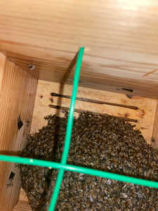 引越しのタイミングと時間帯について質問です