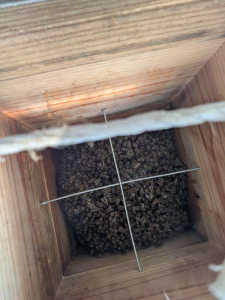 冬の巣箱内の結露対策について教えてください