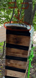 巣箱周辺のゴキブリの対策について教えてください