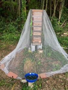 スズメバチ対策用ネット設置とニホンミツバチ活動量の因果関係について