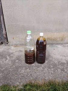 沢山の黒蜜が採れましたが給餌に使うには?