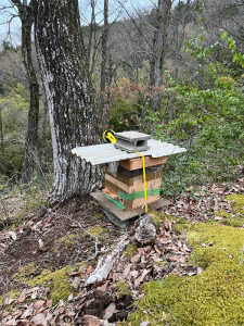 今日待ち箱を設置しました。何か問題点はないでしょうか？