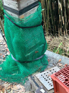 28日（木）オオスズメバチ対策として　ネットを　張って見たけど？