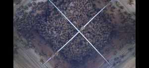 今年始めたばかりでちゃんと成長しているのか分からないのでご意見聞きたいです