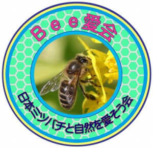 日本蜜蜂と自然を保護する活動を始動します。夏の蜜源植物の普及として配布する苗には、どんな花がありますか？訪花の多いお勧めの蜜源を教えてください。