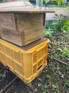 来春の待ち箱にやっかい者が、住んでます。対策は、有りますか？