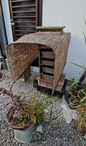 あなたは、何群飼育(管理)していますか？