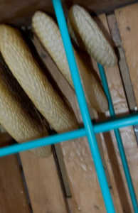 群れに蜂が少なく巣に元気がない様な気がします。原因や改善策を教えてください。