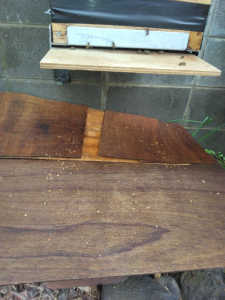 大量の雄蓋が毎日100～200個これは正常ですか？通算2000個以上落ちた様に思います。