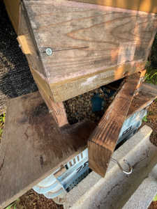 夏の暑さによるものでしょうか？　　　　　　　