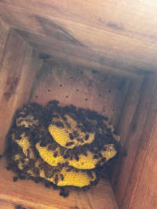 この群のこれからについてご意見をお聞かせください。