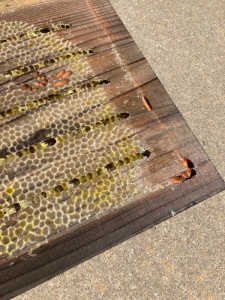 スノコ用の木材は、何がベストでしょうか。