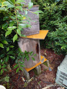 ハイブリッドの丸太部分、上下逆で入居率が違いますか？