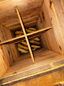 先月よりいきなり蜜蜂が減少し、今月に入りスズメバチの攻撃うけてます。