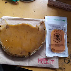 蜜蝋の色を綺麗に精製する方法は有りますか？